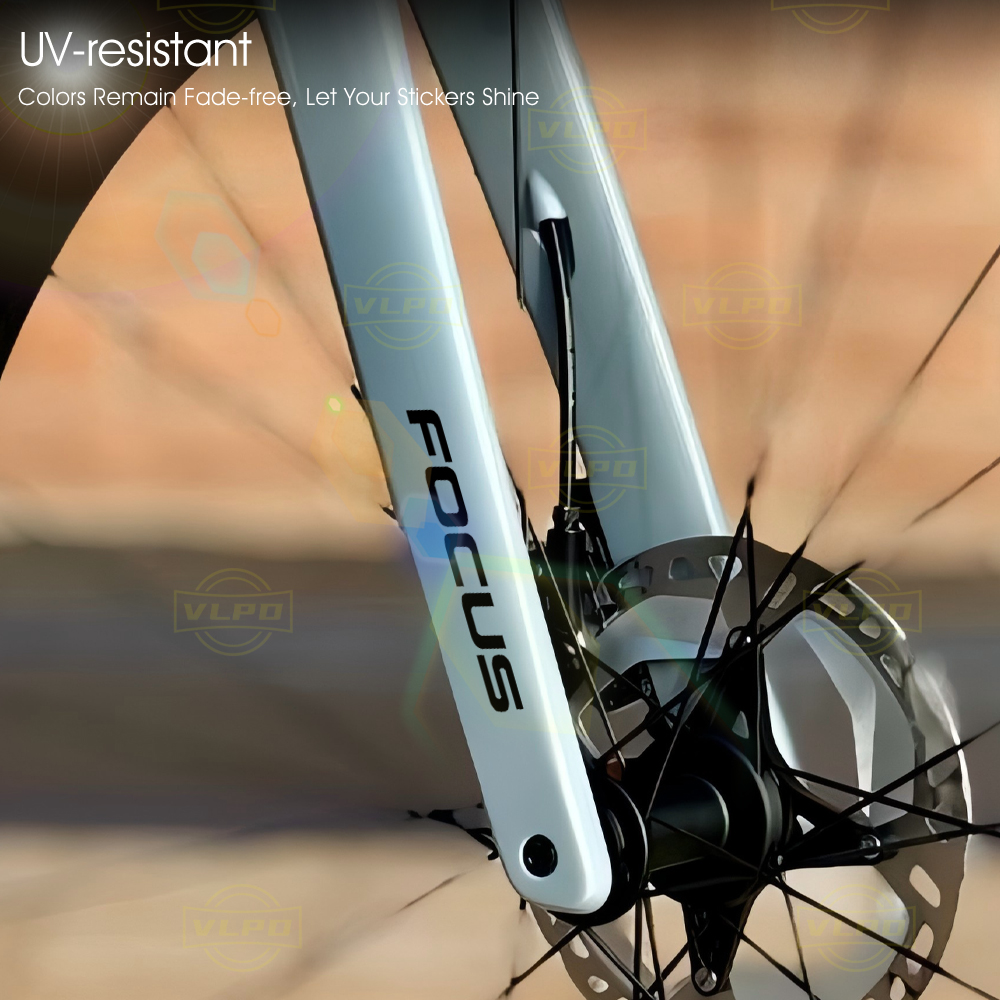 Pegatinas Luminosas para Bicic - Mountain Biking Whistler reseña y precio